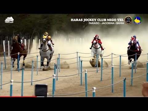 [Cortes 🎬 ] 3º Páreo Classificatório - VII GP JOCKEY CLUB HARAS NEGO VEL 2021