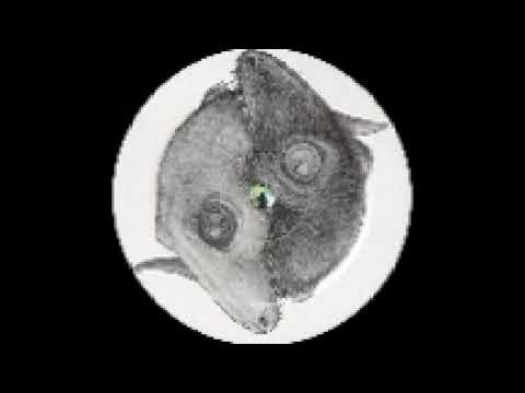 Foetusdreams & Mig - Untitled (Aum 001) 2004. A: Rephrasing memory (Fœtusdreams).