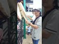 Takbiran Shorts Takbiran Bangbaud Viral Bolang
