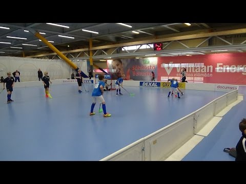 Martin sudet - TOBK salibandypeli Esport Arenalla 25.3.2017 Toka peli