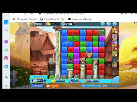 Pet Rescue level 4443, pet rescue, nivel 4443 pet rescue solucionado, solved, sin booster 4443, 4443