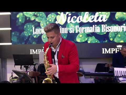 Vlad Bejan - intimpinarea oaspetilor 3