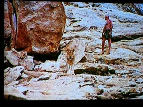 Christian the Lion