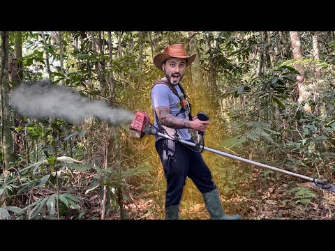 I FINISHED THE SWAMP TRAIL.