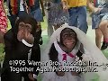 Kidsongs Baby Animals The Wedding Lovers The Petting Zoo Reprise The End