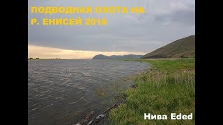 Ловля сазан на енисее