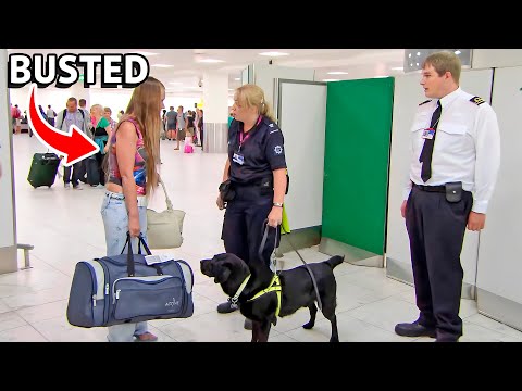 Border Security Chaos! Sniffer Dogs BUST Smugglers