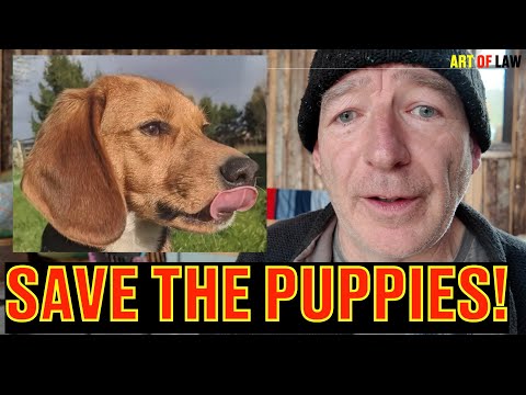 How can YOU help save puppers?  And some law.