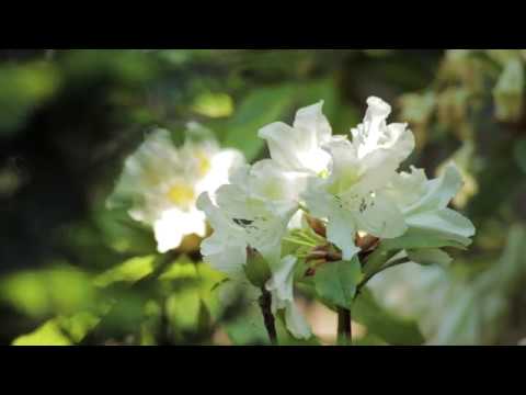 DIDIER DANET SA // Présentation de l'entreprise