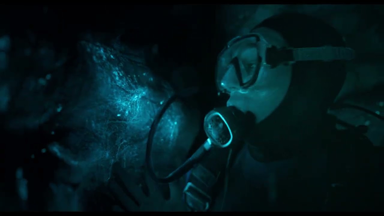 Au fond de la baleine