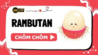 Bài 3 - Rambutan - Chôm Chôm