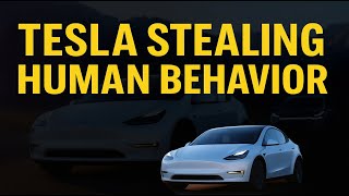 Tesla FSD Caught Watching You?! This AI Behavior Is Shocking!