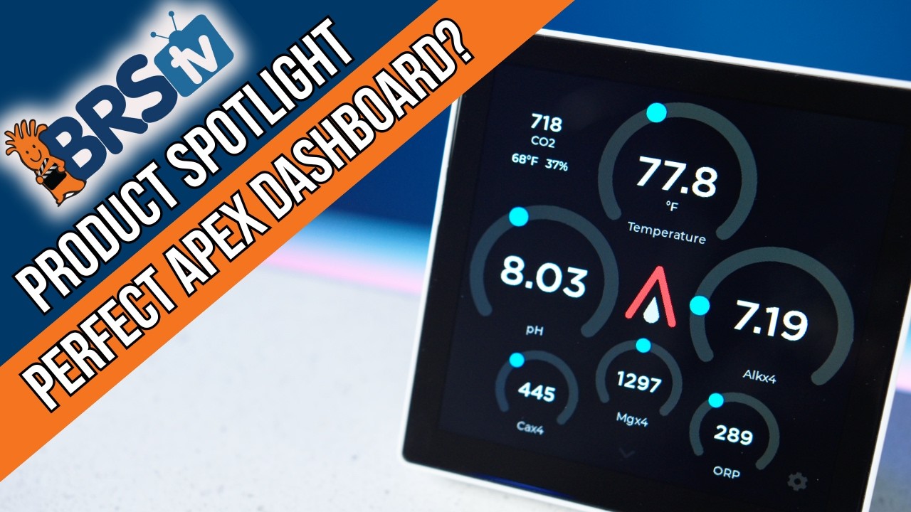 The Perfect Apex Dashboard?