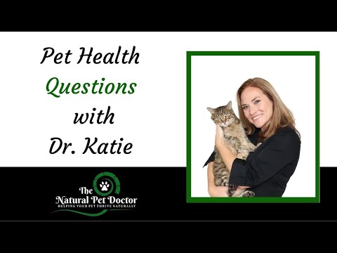 Dog and Cat Health Questions - Food Sensitivities with Dr. Katie The Natural Pet Doctor