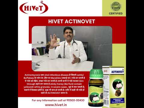 Hivet actinovet homeopathic veterinary medicine syrup, packa...