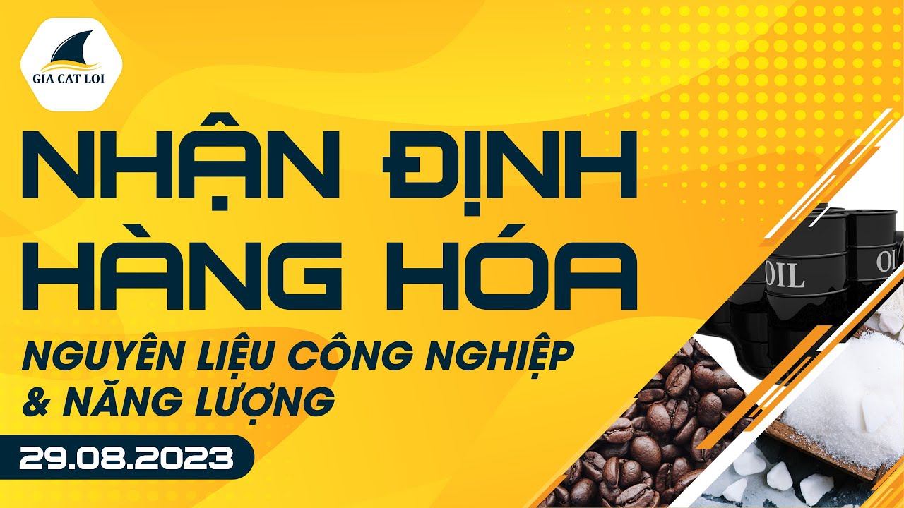Nhận Định Hàng Hoá Năng Lượng & Nguyên Liệu Công Nghiệp 29/08/2023