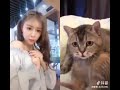 Kucing Arab Funny Cats Kucing Lucu