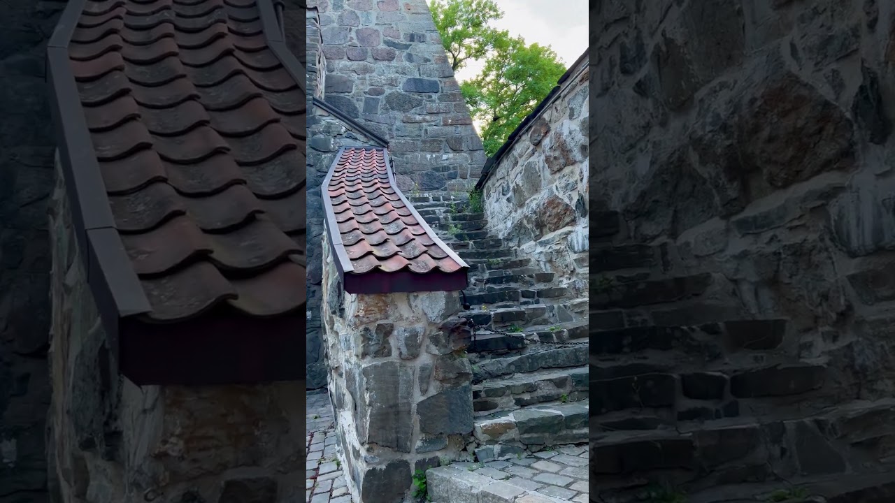 YouTube Short thumbnail