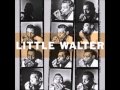 Little Walter, My kind of baby