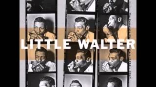 Little Walter, My kind of baby