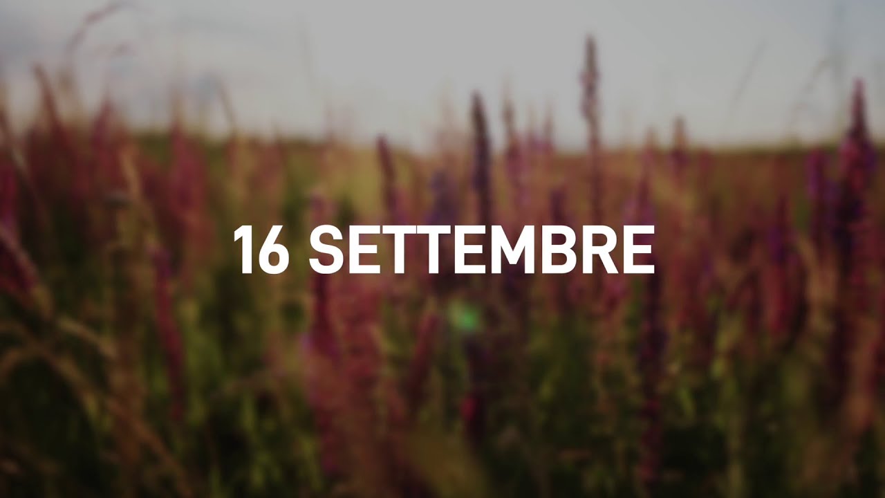 16 Settembre 2025 | Meditazione Parole di Vita