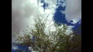 O que você quer saber de verdade - Marisa Monte