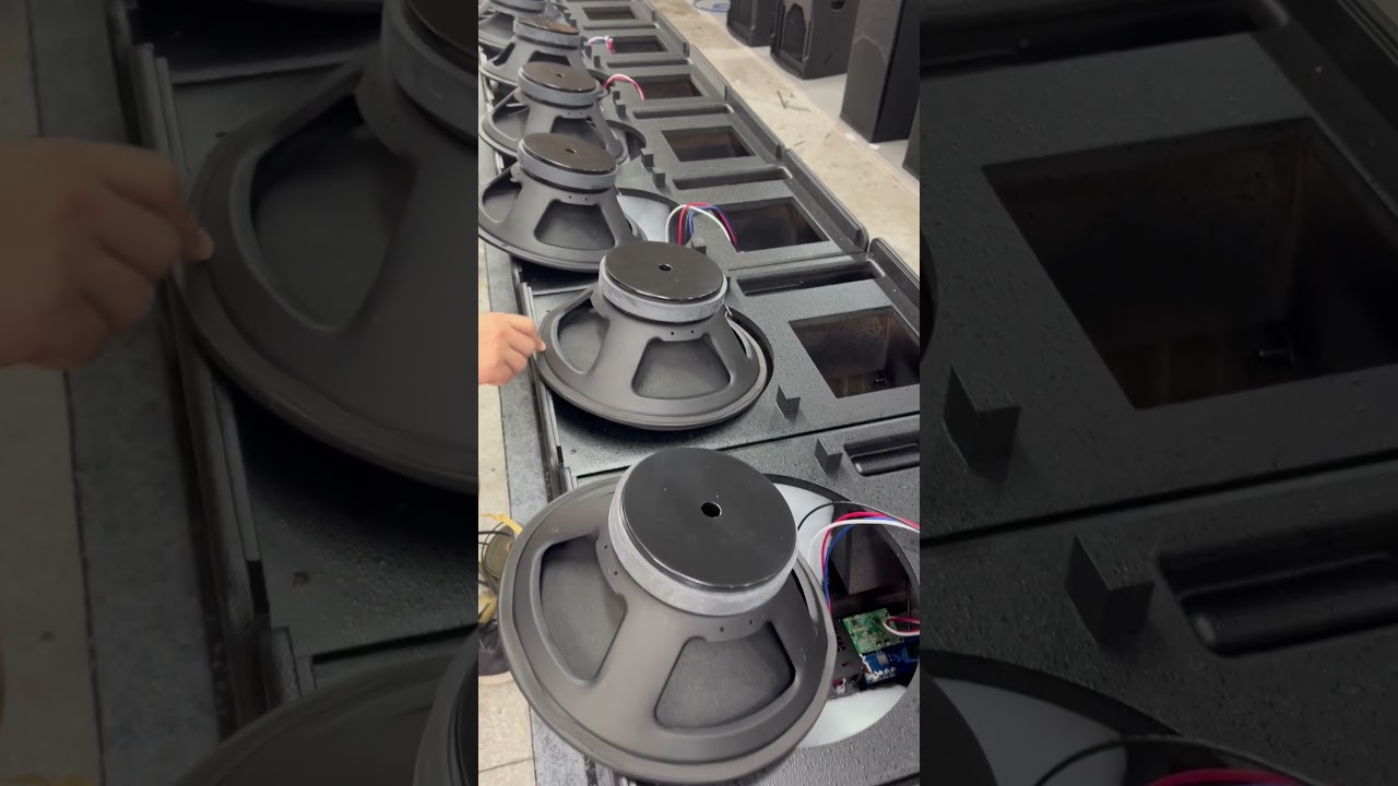 TACT Pro Audio factory single 12 inch pa speakers and double 12 inch line array in production