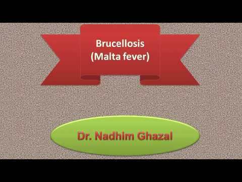 Fourth stage (Infectious diseases / Brucellosis Malta fever)