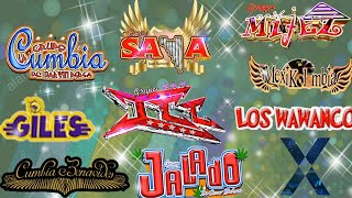 LAS CUMBIAS MAS PERRONAS MIX, RAYMIX, GRUPO JALADO, ICC, KUAL, GILES, LOS DEAKINO, SON TEPITO, AKIN