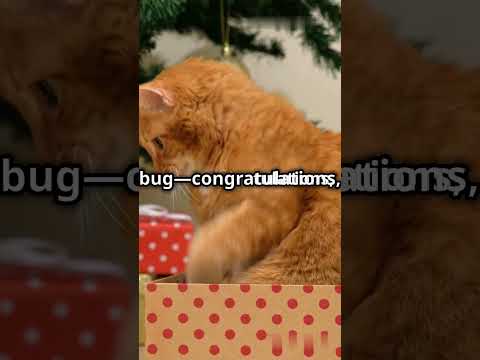 🐾 7 Habits of Cats: Unlocking the Mysteries of Feline Behavior! 😺