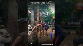 Download lagu Lomba panjat pinang sampai celana nya merosot wkwkwk mp3 Download lagu Lomba panjat pinang sampai celana nya merosot wkwkwk mp3