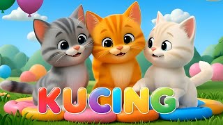 Download lagu LAGU ANAK 🇮🇩 ANAK KUCING MEONG MEONG - KITTEN SONG - LAGU ANAK BALITA VIRAL mp3