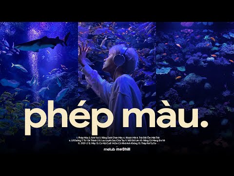 Nhạc Lofi Chill Triệu View ♬ BXH Nhạc Lofi Chill 2025 Thịnh Hành Hay Nhất - Playlist Lofi Mix Buồn