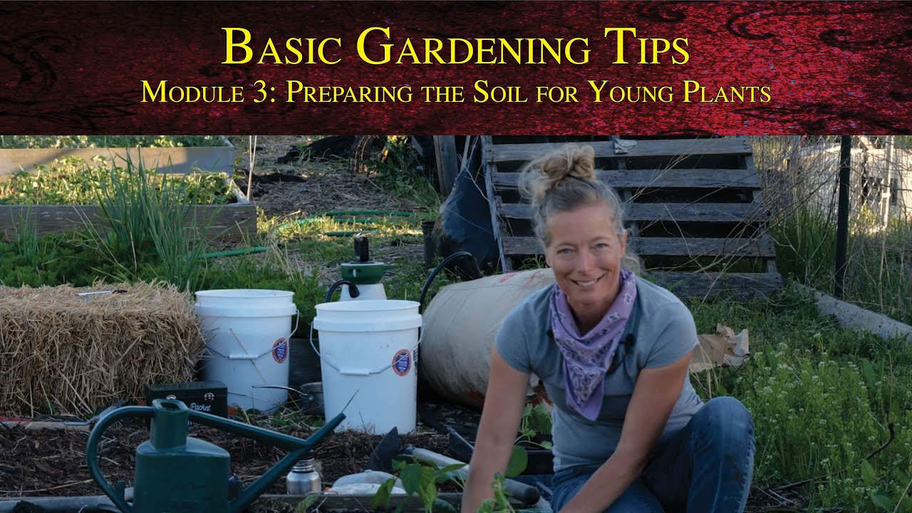 Basic Gardening Tips - Module 3: Preparing the soil for young plants and how to transplant them