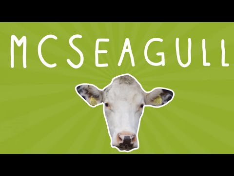 Just Like Me! | McSeagull - koeien | Disney Channel NL