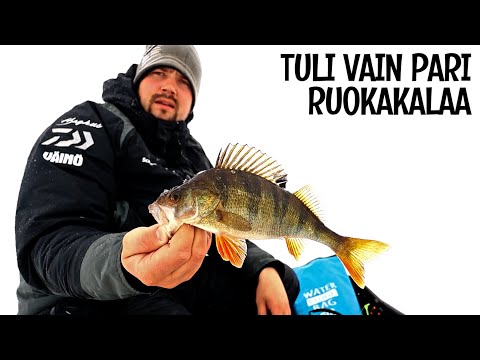 RIUTUNKARISSA PILKILLÄ