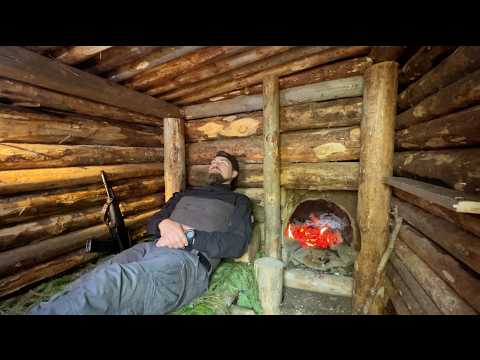 24 Hours in the Wild Forest Among Bears. Surviving Alone in My Den.