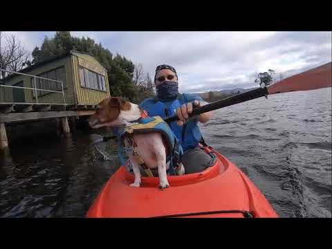 Kayaking Derwent River Trip 689 23 /7 /23