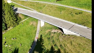 Robot-assisted bridge condition inspection using NDT