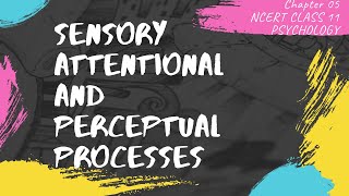 CHAPTER 05||CLASS 11 PSYCHOLOGY||NCERT||SENSORY, ATTENTIONAL AND PERCEPTUAL PROCESSES||PSYCHED