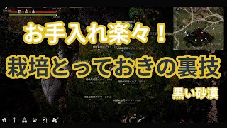 お手入れ楽々!栽培とっておきの裏技