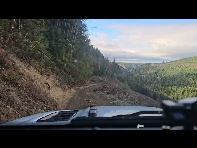 Judge.me YouTube video placeholder