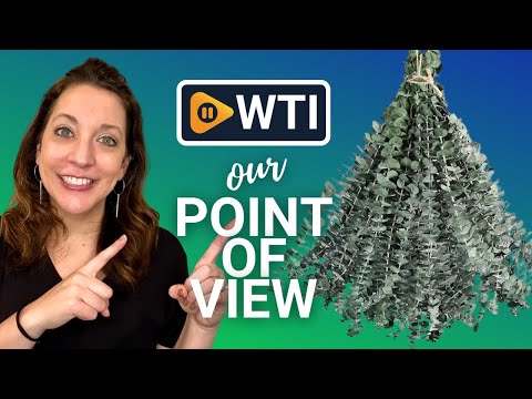 36 Pcs Dried Eucalyptus - WTI product video review