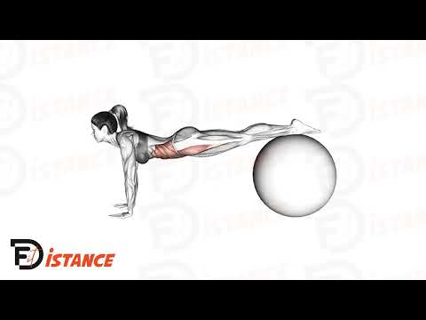 Planche avec les pieds sur un swiss ball - Exercice Planche avec les pieds sur un swiss ball en vidéo Planche avec les pieds sur un swiss ball - Exercice Planche avec les pieds sur un swiss ball en vidéo