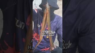 Download lagu ALHAMDULLILLAH  REJEKI HARI INI #shorts #mancingbelut #mancing #mancingmania mp3