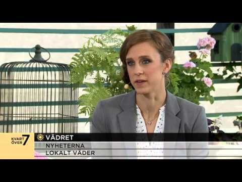 Sophia Nilsson om värmen som utlöser pollen - Nyhetsmorgon (TV4)