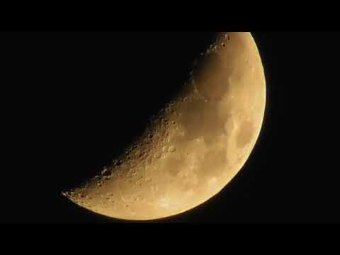 БИО / Bio group - Луна / Moon
