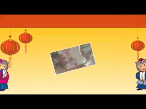 First birthday of PRAVI