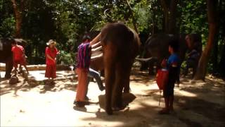 Patara Elephant Farm Sept 2014