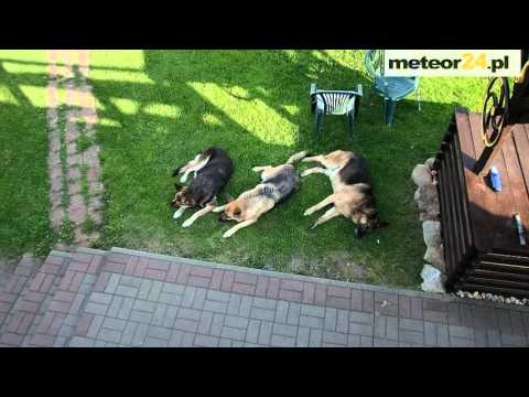 Agroturystyka OssówkA - Nawojów Śląski meteor24.pl